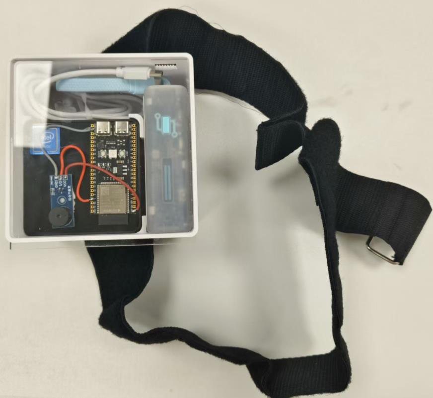 The transparent control enclosure holding the board and battery, next to the strap.